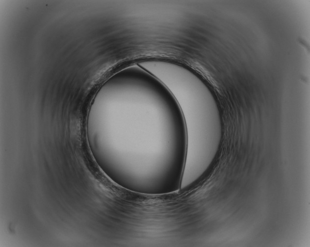 X0000091900444200709051107