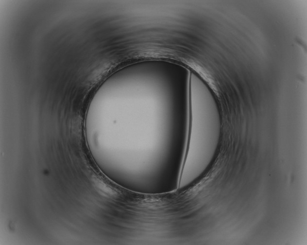 X0000091900445200709051107