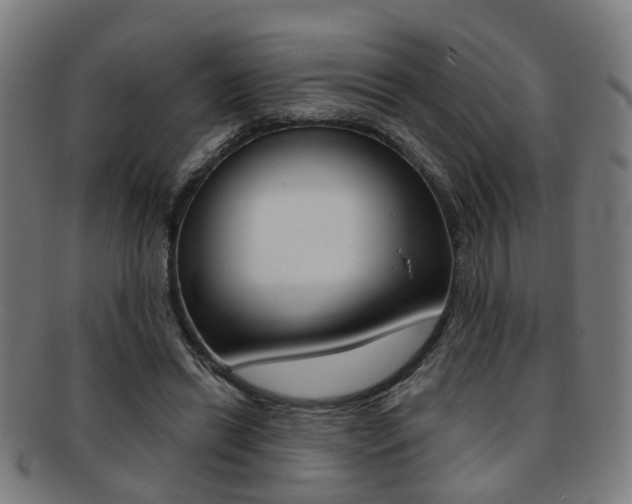 X0000091900446200709051107