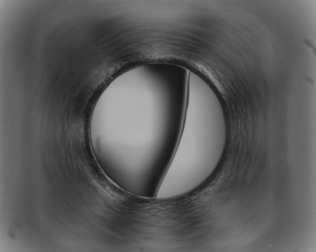 X0000091900447200709051107