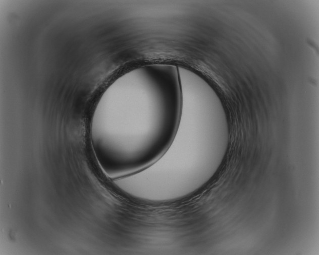 X0000091900448200709051107