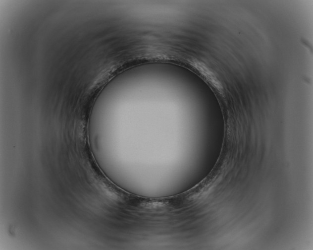 X0000091900449200709051107