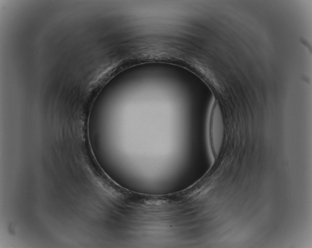 X0000091900450200709051107