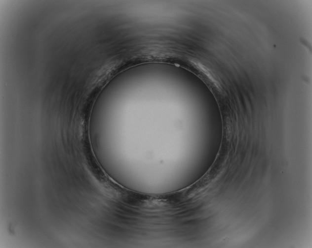 X0000091900451200709051107