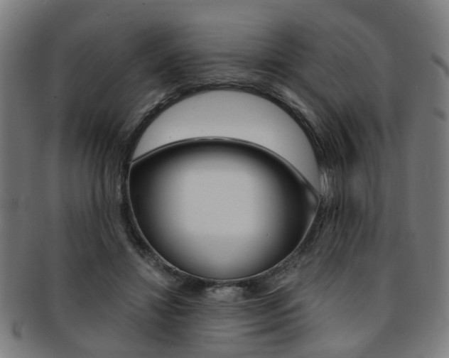 X0000091900452200709051107