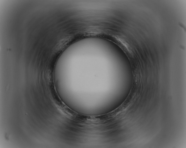 X0000091900455200709051107