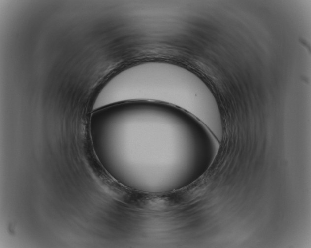 X0000091900456200709051107
