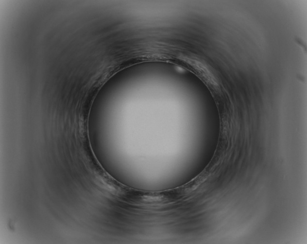 X0000091900457200709051107