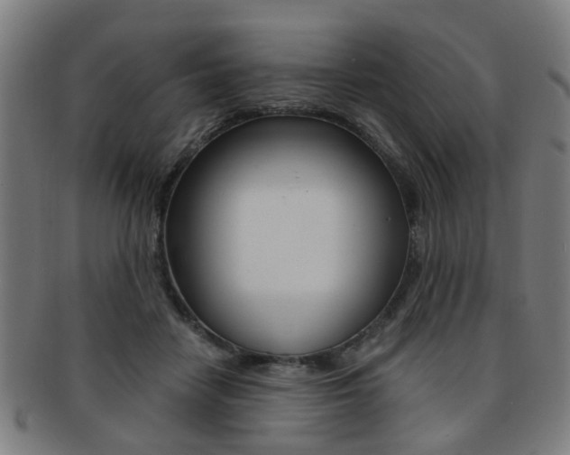 X0000091900458200709051107