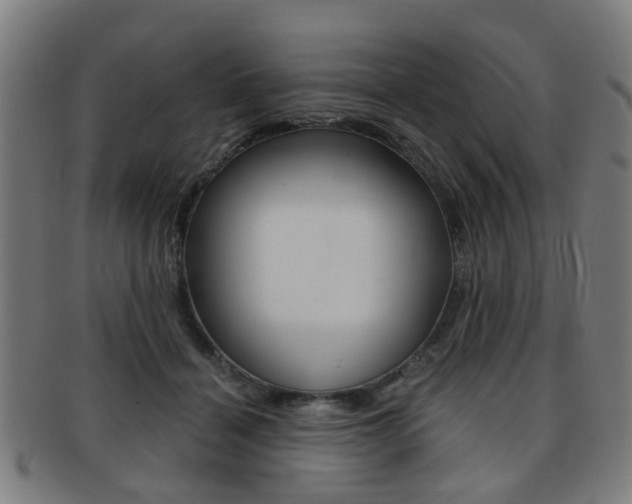X0000091900460200709051107