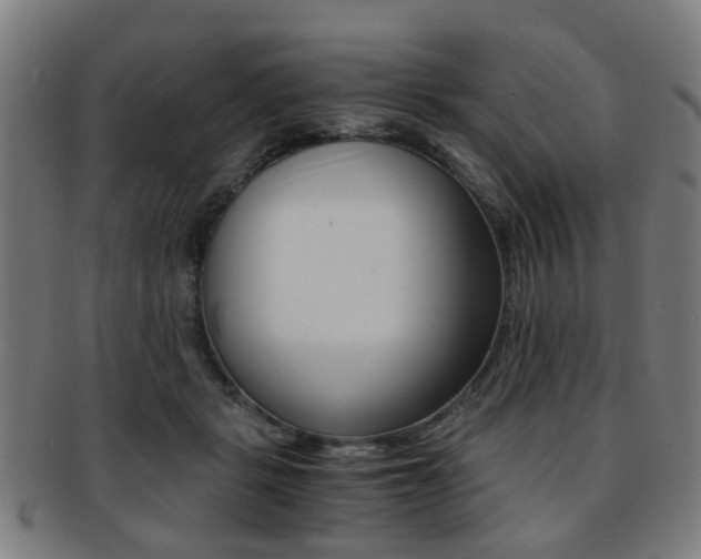 X0000091900461200709051107
