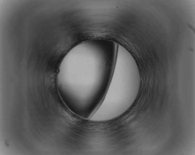 X0000091900462200709051107