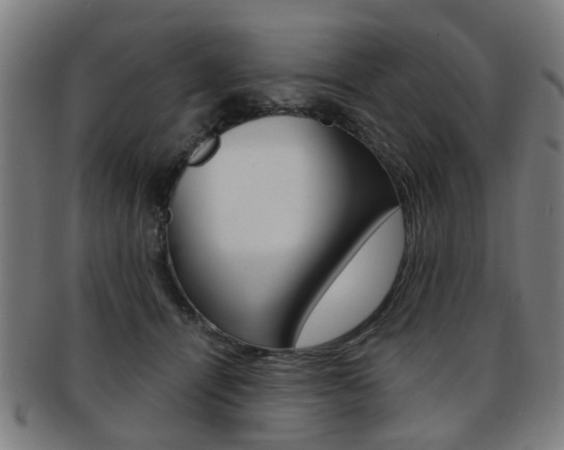 X0000091900464200709051107