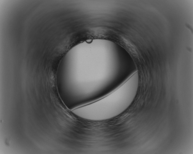 X0000091900465200709051107