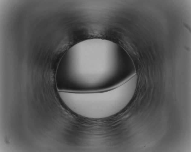 X0000091900466200709051107