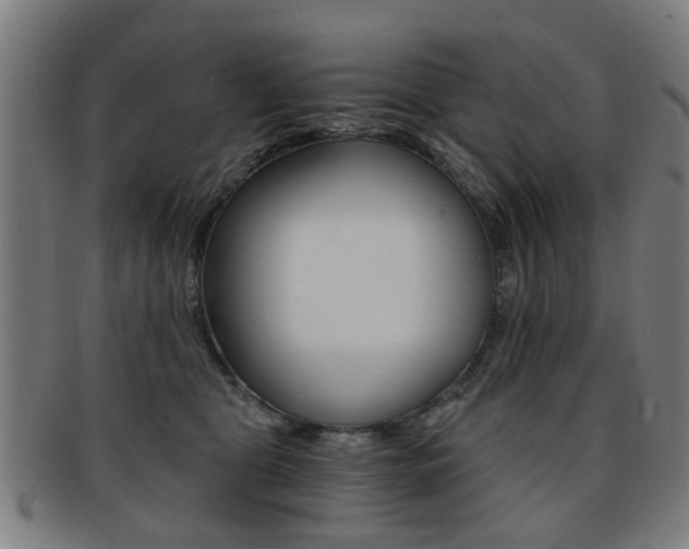 X0000091900469200709051107