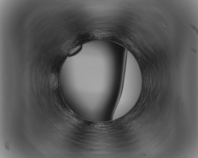 X0000091900471200709051107