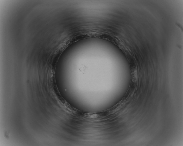 X0000091900472200709051107