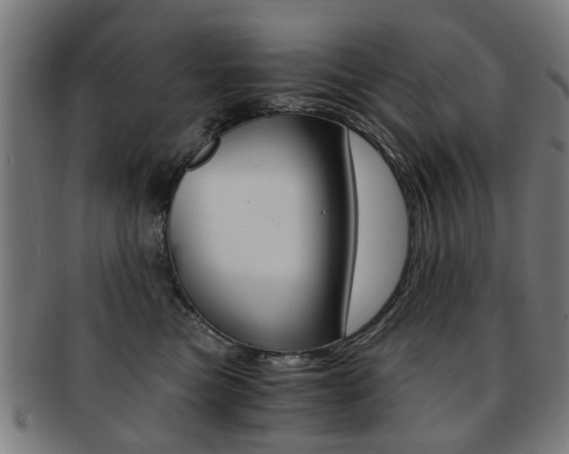 X0000091900473200709051107