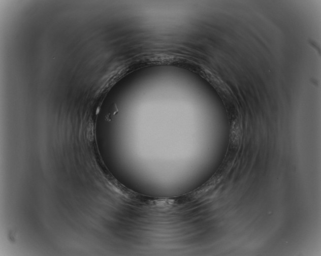 X0000091900474200709051107