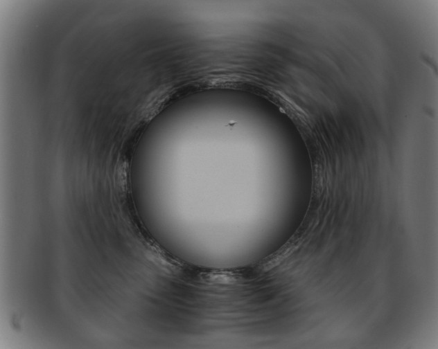 X0000091900475200709051107