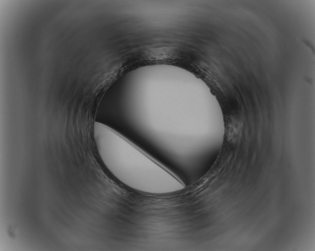 X0000091900476200709051107