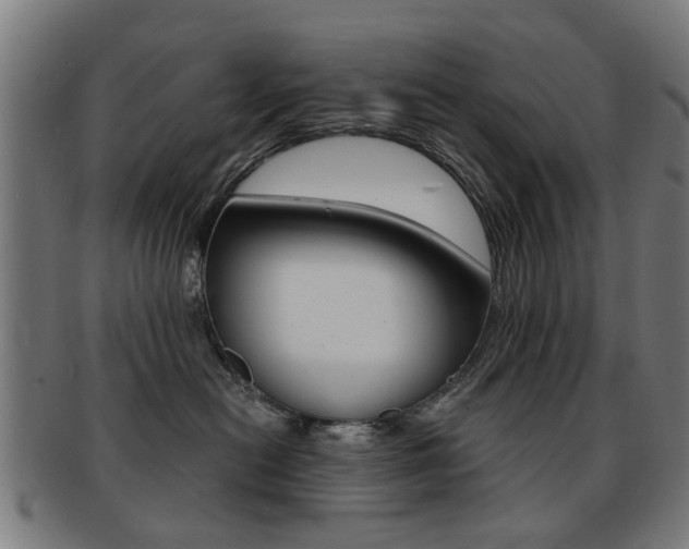 X0000091900478200709051107