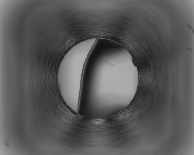 X0000091900479200709051107
