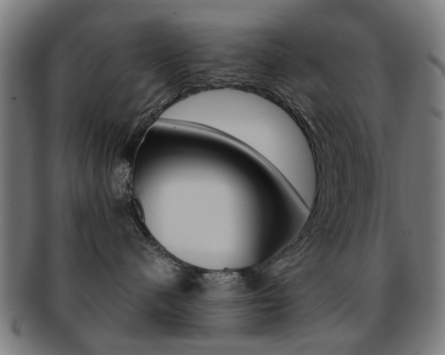 X0000091900480200709051107