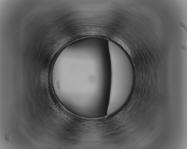 X0000091900482200709051107