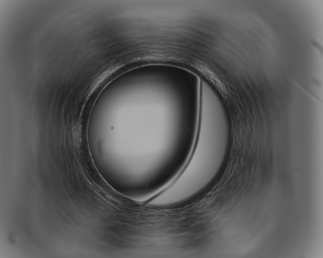 X0000091900484200709051107