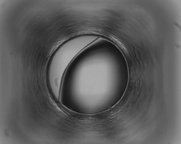 X0000091900485200709051107