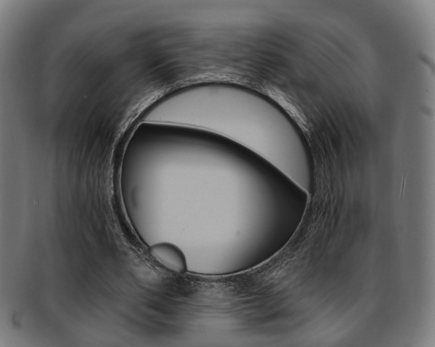 X0000091900486200709051107