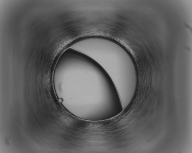 X0000091900487200709051107
