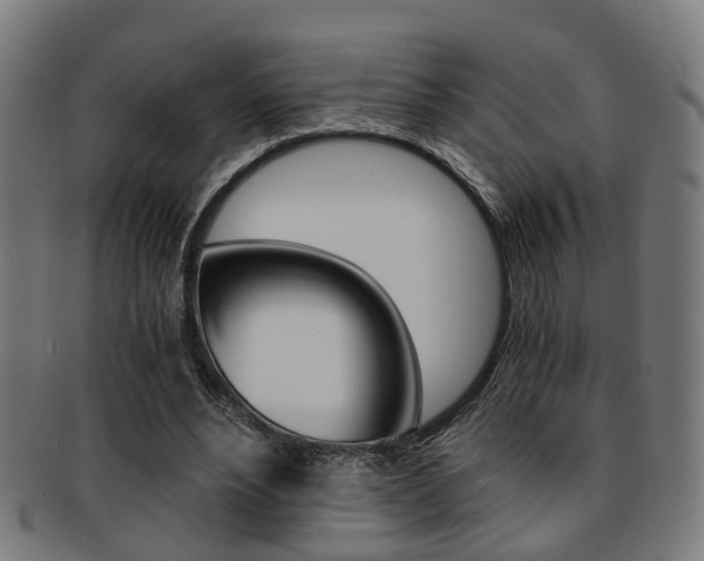 X0000091900488200709051107