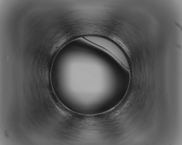 X0000091900489200709051107