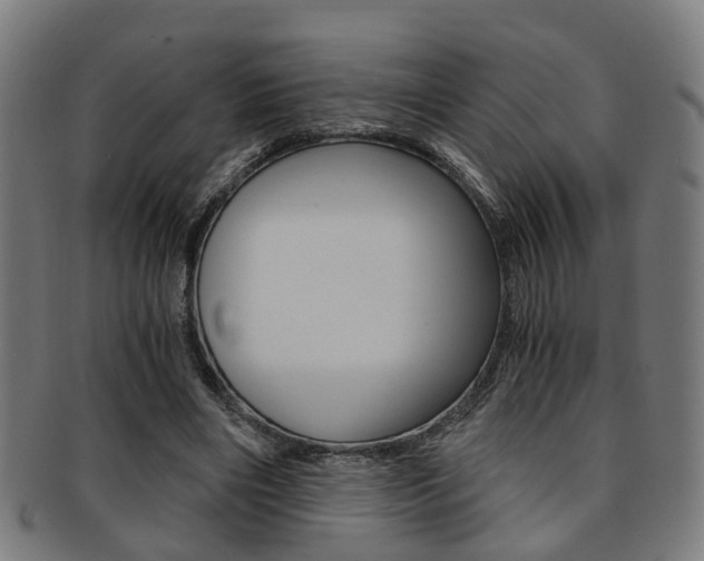 X0000091900490200709051107
