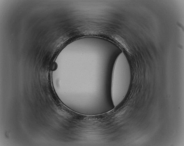 X0000091900491200709051107