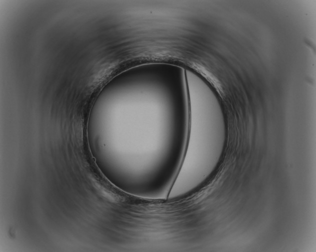 X0000091900493200709051107