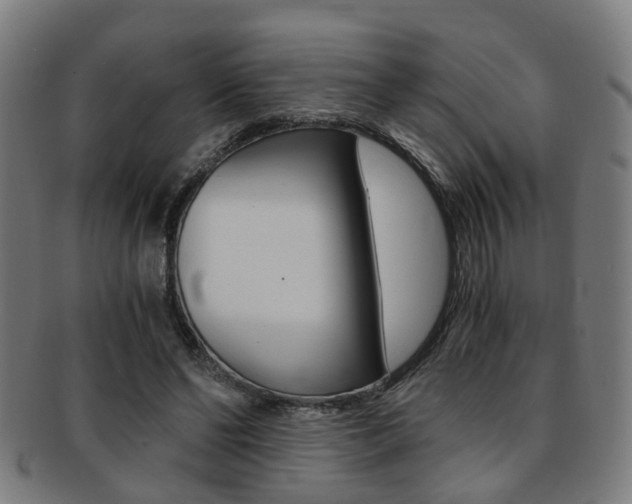 X0000091900494200709051107