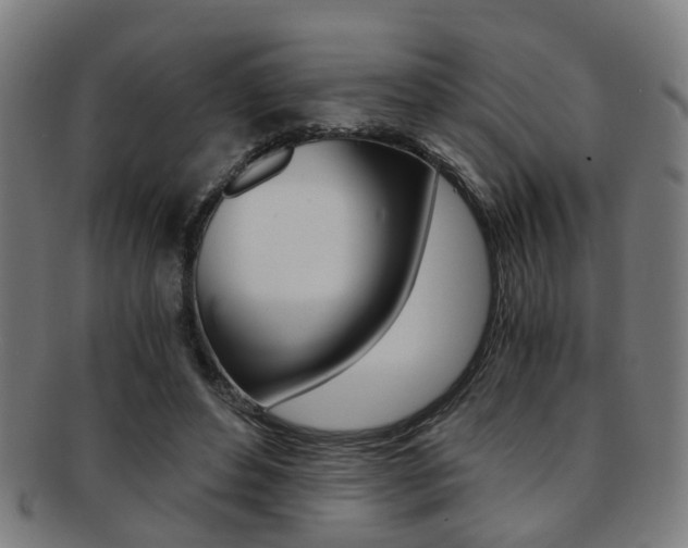 X0000091900496200709051107