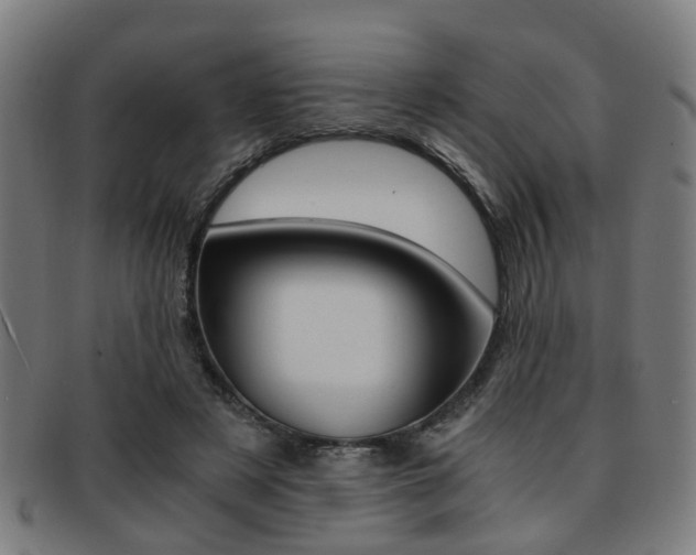 X0000091900497200709051107