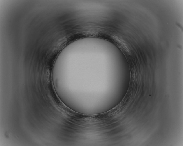 X0000091900498200709051107