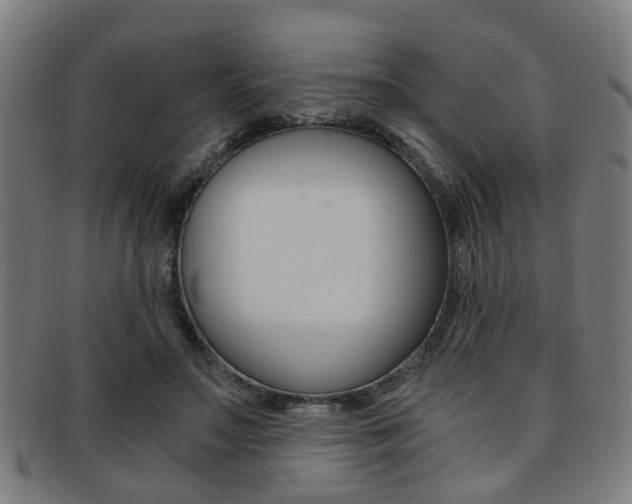 X0000091900499200709051107