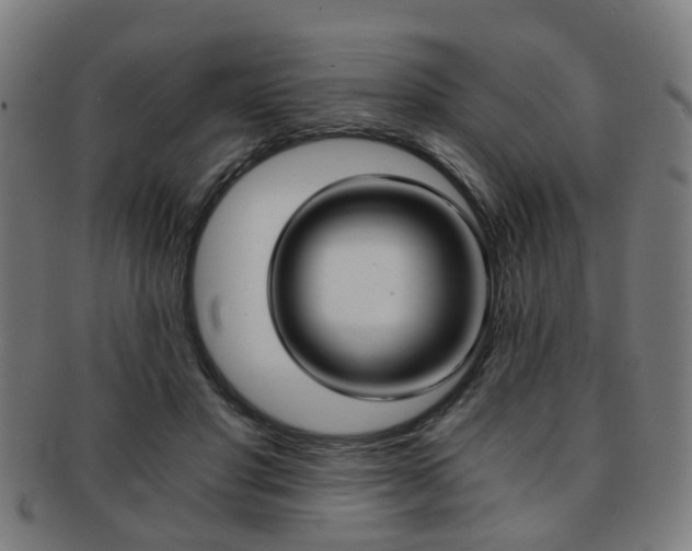X0000091900501200709051106