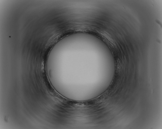 X0000091900502200709051106