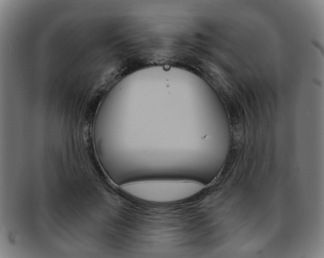 X0000091900503200709051106
