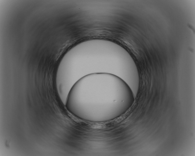 X0000091900504200709051106