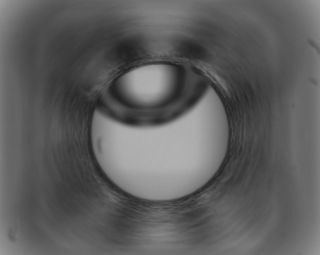 X0000091900505200709051106