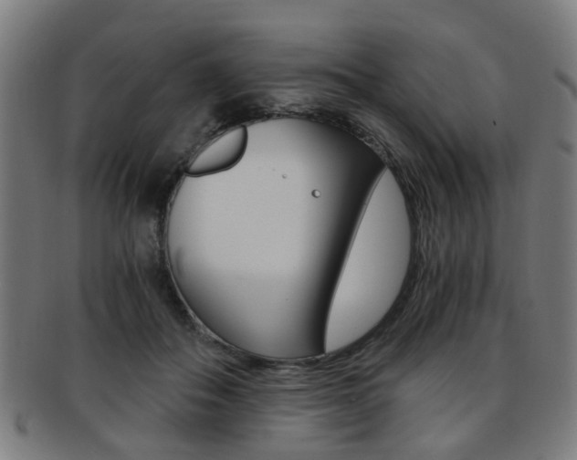 X0000091900506200709051106